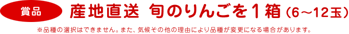 商品：産地直送 旬のりんごを1箱（6〜12玉）※品種の選択はできません。また、気候その他の理由により品種が変更になる場合があります。