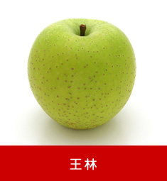 王林