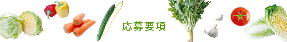 応募要項
