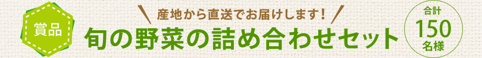 旬の野菜の詰め合わせセット 合計150名様